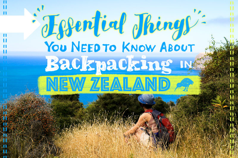 ニュージーランドでバックパッキングするなら知っておきたい知識のまとめ