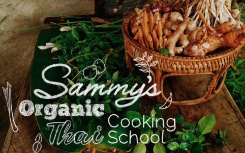 【動画つき】タイ料理を学ぶ！in チェンマイ：Sammy’s Organicに行ってきたよ