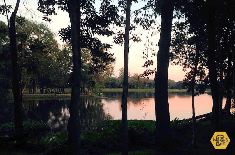 夕暮れの池周辺は神秘的な雰囲気に包まれます