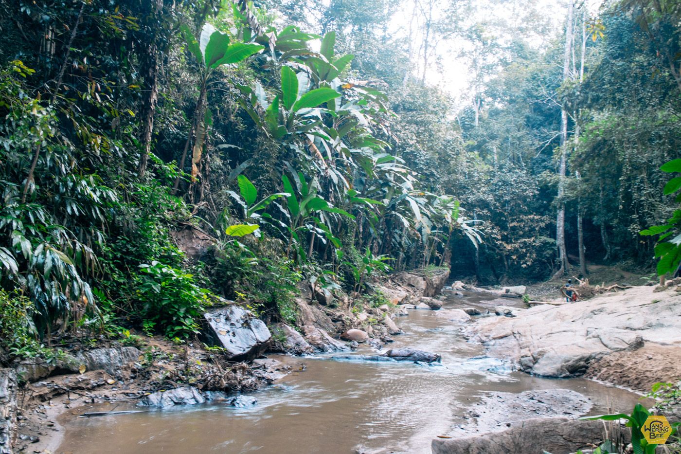 モークファー滝の周辺のジャングル環境